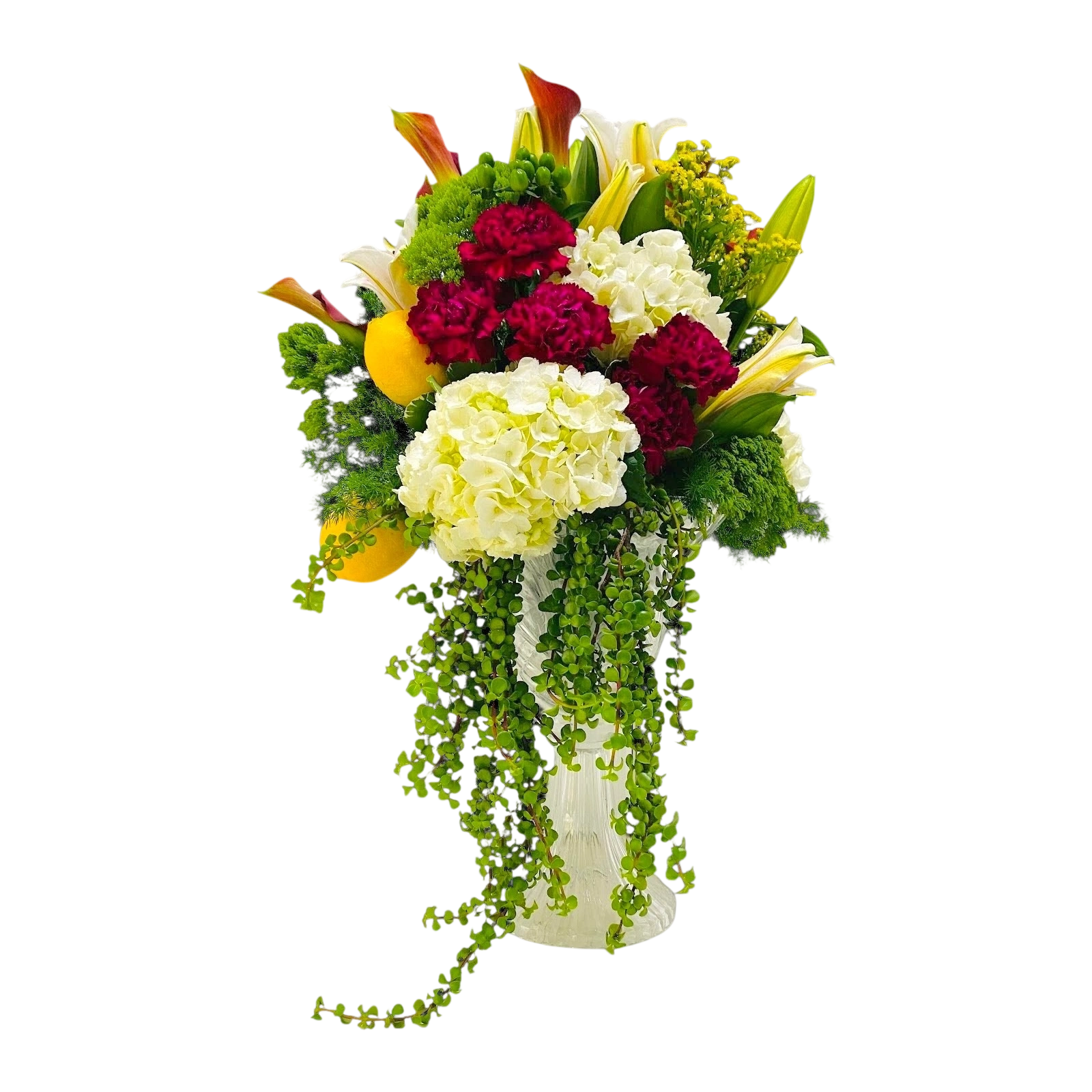 Citrus Cascade