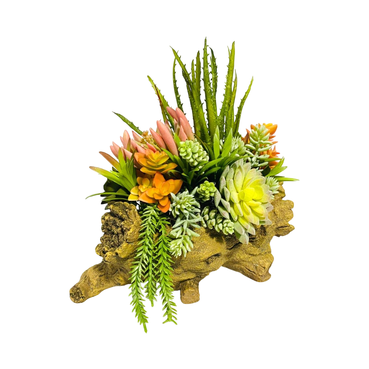 Desert Charm Succulent Garden