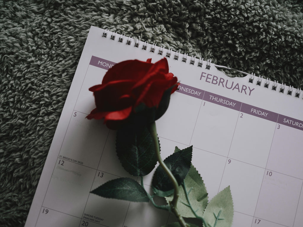 Apology or Forgiveness: Elegant & Sincere Selections