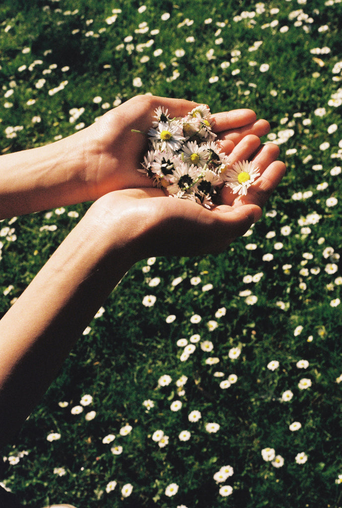 Get Well Soon: Uplifting & Gentle Florals